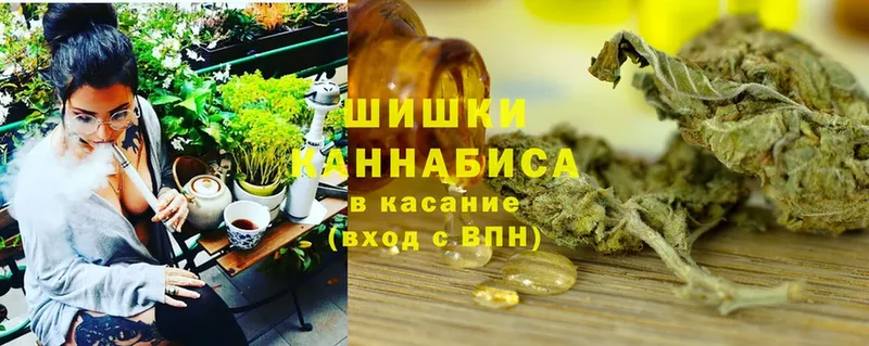 hydra tor  Куртамыш  Конопля марихуана  купить наркотики сайты 